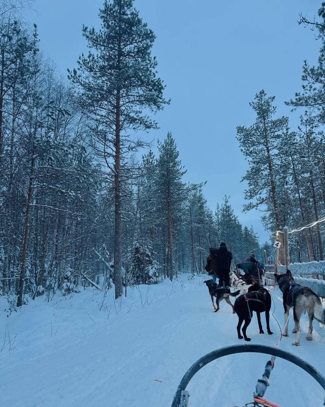 Finlandiya'dan sevgiler yolladı. Karlar prensesi Zehra Güneş'in donduran fotoğrafları 9